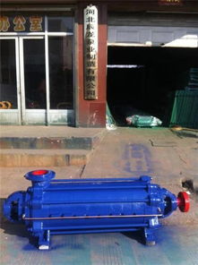 dg12 25 9多級(jí)泵 邯鄲多級(jí)泵 辰龍泵業(yè) 圖