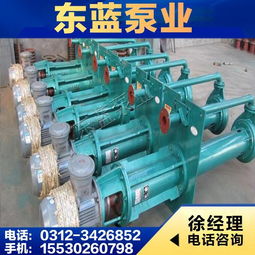 安國市東藍水泵廠產品概覽 高效可靠的工業泵解決方案